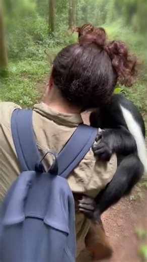 Monkey’s Love Never Disappeared for His Human Mom 💖