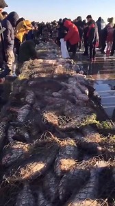 Heavy Machine Process r | ኢትዮ መዝናኛ - Ethio Entertainment | Facebook