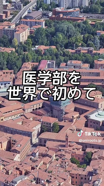 イタリア国内トップの大学ランキング