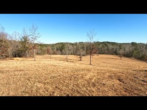 Clearing Overgrown Land | Bush Hogging Transformation