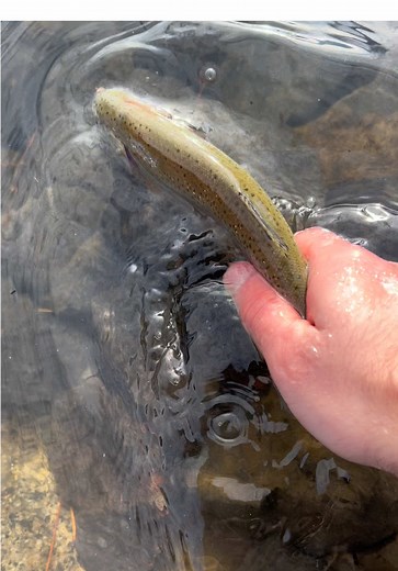 First trip of the year #fyp #viral #fishing #fishtok #funny