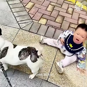 14K views · 265 reactions | A compilation of kids being absolutely hilarious! 藍 | Awesome Things & DIY | Facebook