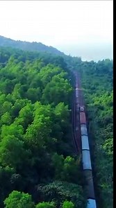 477K views · 10K reactions | Đoàn Tàu Hỏa Qua Đèo Hải Vân ⛰ | Review | Facebook