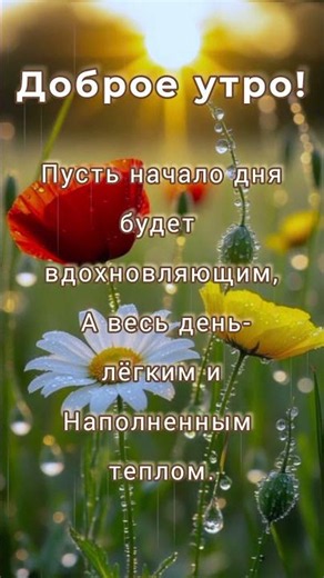 Музыка дождя и нежность цветов 🌺 | С добрым утром! Музыкальная открытка.