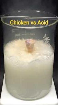Chicken Vs Acid?? 🤯