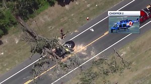 Falling tree that killed driver was on federal land, Sumter County says