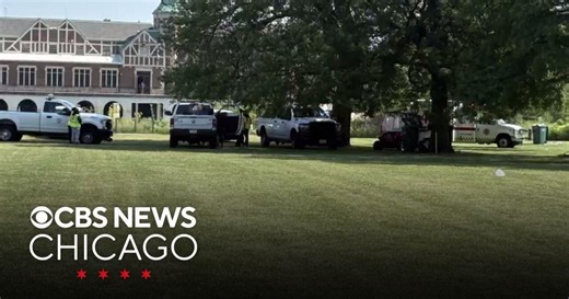 Park employees hurt by fireworks in Chicago's Humboldt Park