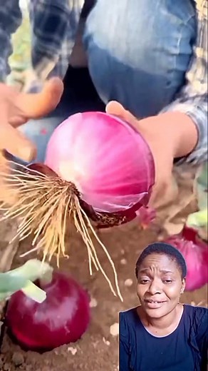 So neat 😍 | Mary hair tutorial and lifestyle