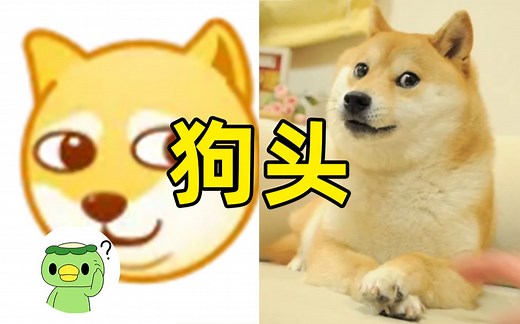 详解doge表情包的起源(doge)