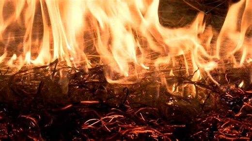 Amid brush fires, WPI students prepare for the future of fire protection