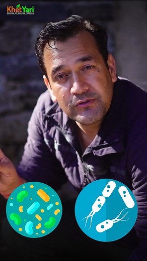 47K views · 1.3K reactions | "Unlocking the Benefits of Indigenous...