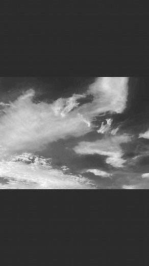 Leslie Martin on Reels