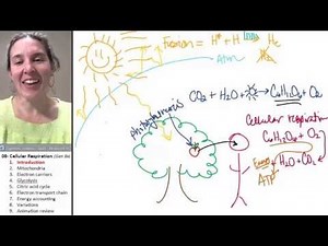 Cellular Respiration 1- Introduction