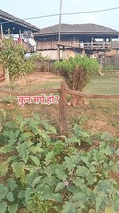 सर्पको प्रजाति चिनौं