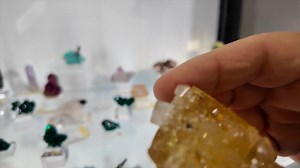 13 reactions · 5 comments | He's the host of What's Hot In Ste. Marie...