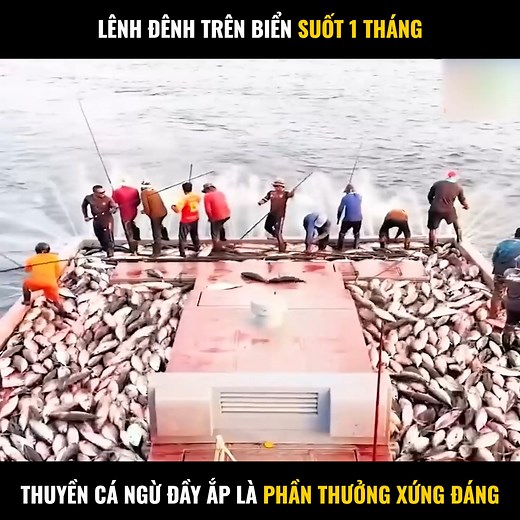 Review: Lênh Đênh Trên Biển Suốt 1 Tháng #review #reviewcuocsong #reviewhaynhat | Thánh Nữ Review