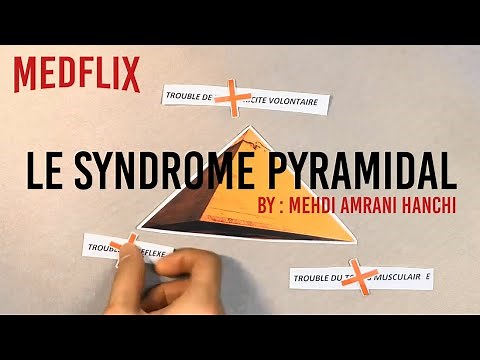 SÉMIOLOGIE NEUROLOGIE : LE SYNDROME PYRAMIDAL