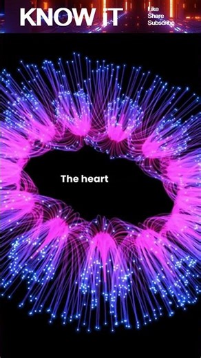 How often does your Heart Beat in one day?