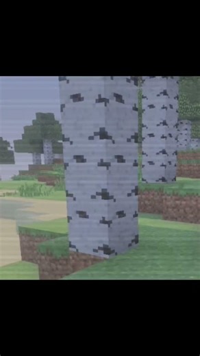 The broken script…?