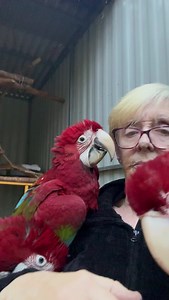 18K views · 3.5K reactions | Flights now booked and confirmed for all...