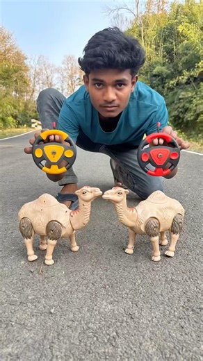 Rc Remote Control Camel Unboxing🔥🐪