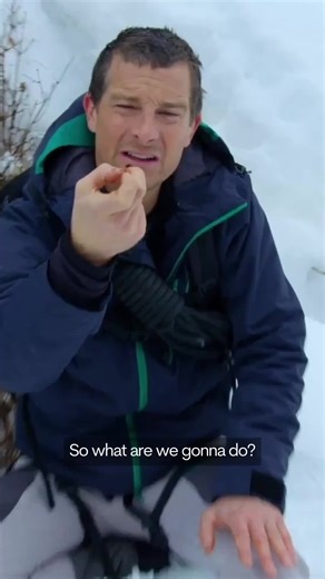 Surviving in the Wilderness: Eating Bear Poo