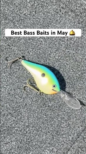 The BEST May Bass Baits 🛎️