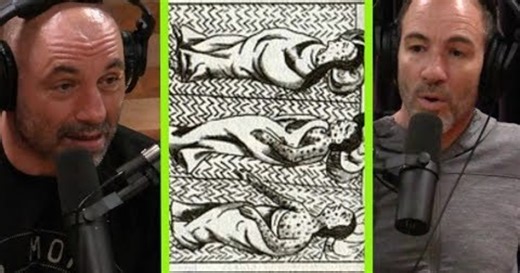 Is it embarrassing that "European Disease Wiped Out 90% of Native Americans", the US wasn't stolen by skill, it was overpowered by Diseases?