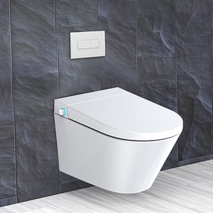 [Hot Item] Wall Hung Dvgw Certified P-Trap Siphon Jet Flushing Smart Toilet