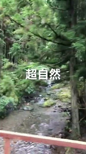 関西おすすめキャンプ場⛺️in京都