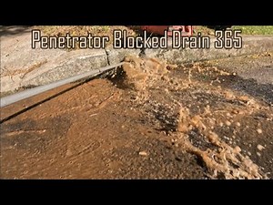 Blocked Drain 365 - ROOOTS & TOADS Come Exploding From The Drain