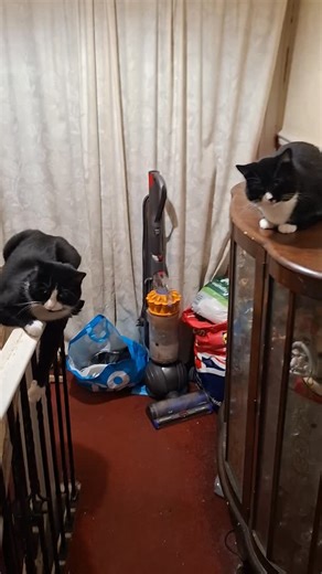 Nathan LeMaster on Reels