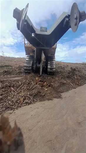 Caterpillar D8 Bulldozer in Operation Building Forests