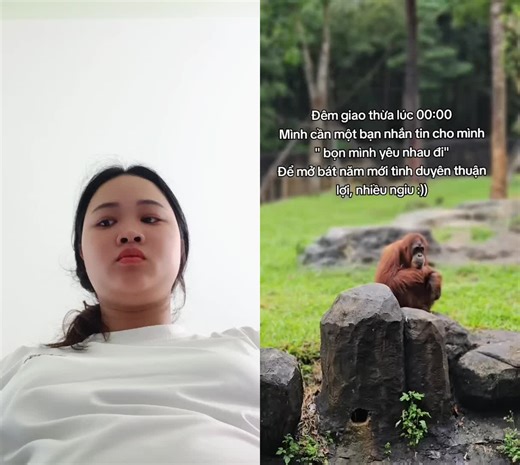 #duet cùng @Zebra hahaha #greencreator