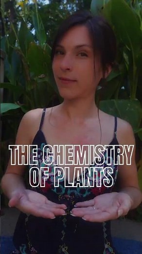 The Chemistry of Plants🌿