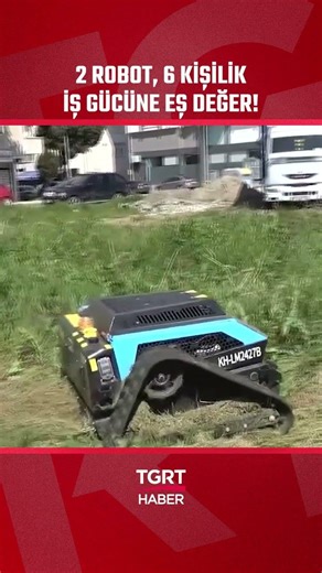 Green Spaces Entrusted to Smart Technologies! 2 Robots Doing the Work of 6 People #shorts
