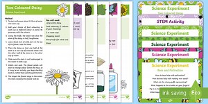 EYFS Forest and Woodland Science Experiments Resource Pack