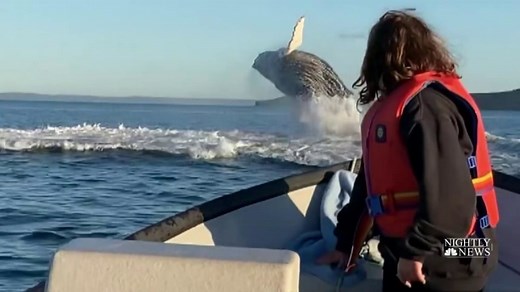 Father-daughter fishing trip turns into unexpected whale-watching experience