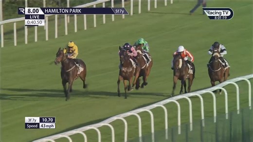 Too classy! Classy Al had only scored at Ayr previously but he's added a gold at another Scottish venue this evening. | Hamilton Park Racecourse