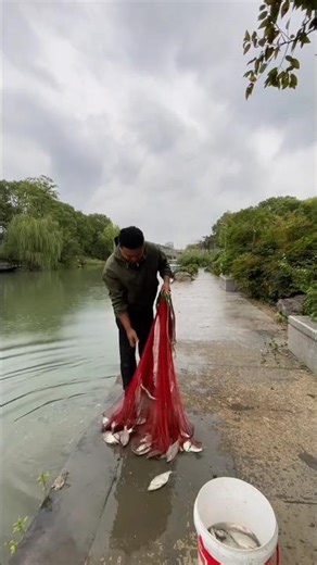 How To Catch Fish With A Net #fishingdaily #fishingtutorial #fishingline #seatroutfishing #prepared