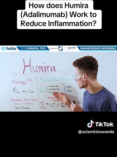 Humira (adalimumab) is a biologic medication that reduces inflammation by targeting and neutralizing tumor necrosis factor‑alpha (TNF‑α), a key immune signaling protein. By blocking TNF‑α, it helps calm an overactive immune response in autoimmune and inflammatory diseases. #inflammation #medicineexplained #Humira #EduTok #tiktoklearningcampaign