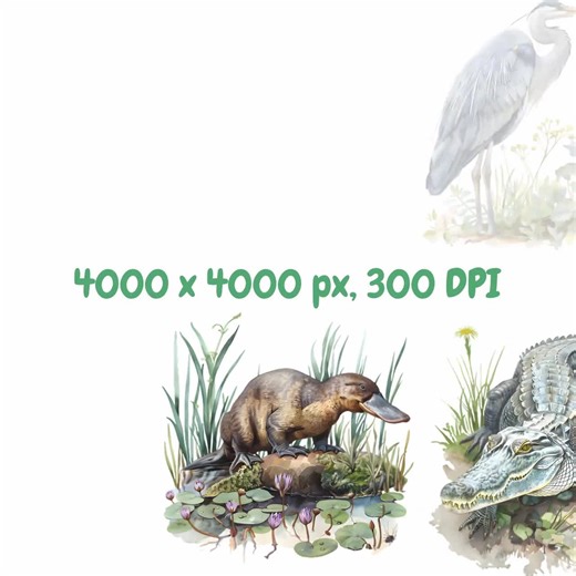Watercolor Wetland Animals Clipart Bundle, Swamp Wildlife Clipart, Woodland Illustrations, Transparent PNG Graphics, Commercial Use - Etsy