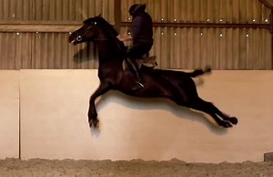 3K views · 195 reactions | Classical dressage training at Action Horse headquarters! Spanish walk, Piaffe, Pirouettes and Capriole! | Ben Atkinson | Facebook