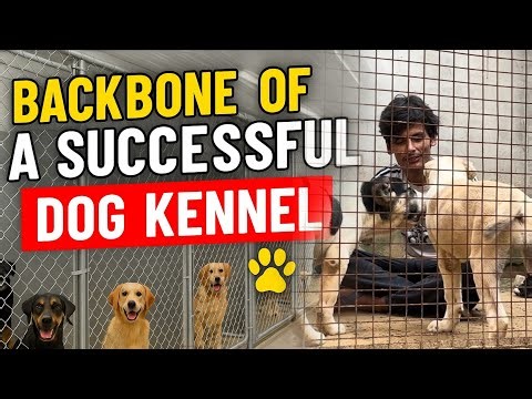 Backbone of a Successful Dog Kennel 🐶 | Complete Kennel Setup Guide