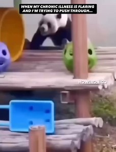 7.8K reactions · 230 comments | WHEN MY CHRONIC ILLNESS IS FLARING AND I’M TRYING TO PUSH THROUGH…   #ChronicIllness #fyp #Flare #OnThisDay #Jokes #Veterans #Fibromyalgia #Vets4Fibro #TeamFibro | The Fibromyalgia Pain Chronicles | Facebook