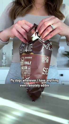 Hand over the pizza and no one gets hurt 🍕 #dogsoftiktok #dogproblems