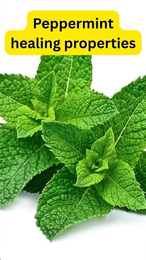 Benefits of eating peppermint #healing #healthyfood