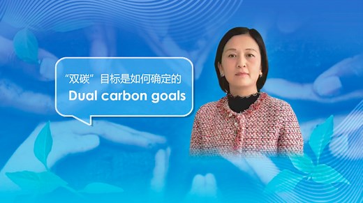 深度对话：我国“双碳”目标是如何确定的