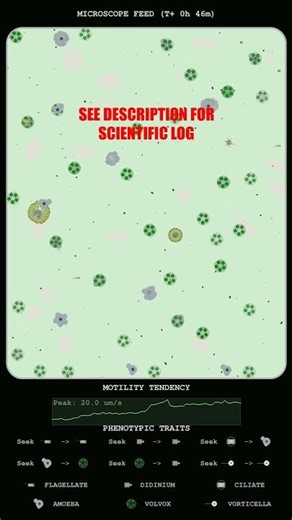 Dynamics of Microscopic Swarm Kinetics and Surging Velocities