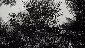 Hans Zimmer - battle - 2000